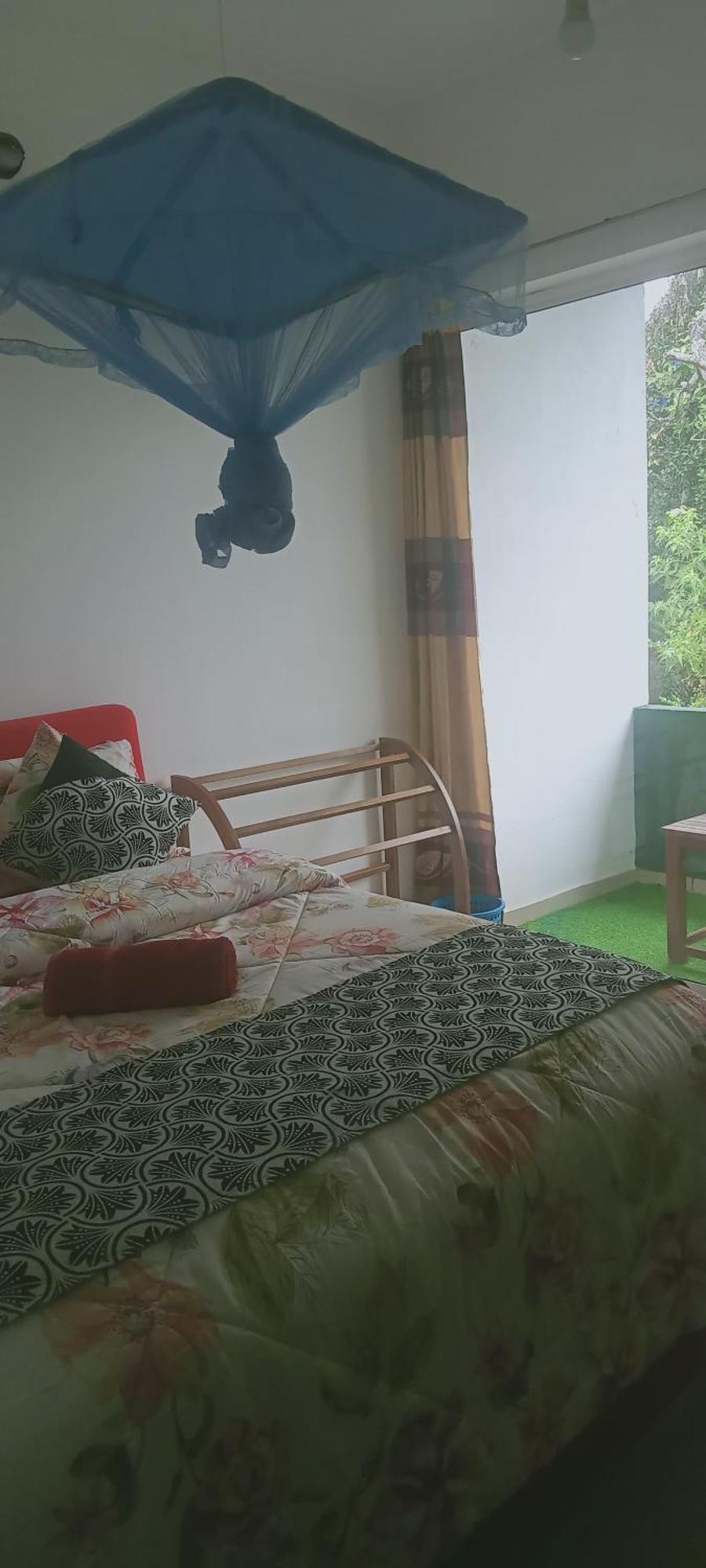 保罗地区住宿加早餐旅馆 哈普特莱 外观 照片