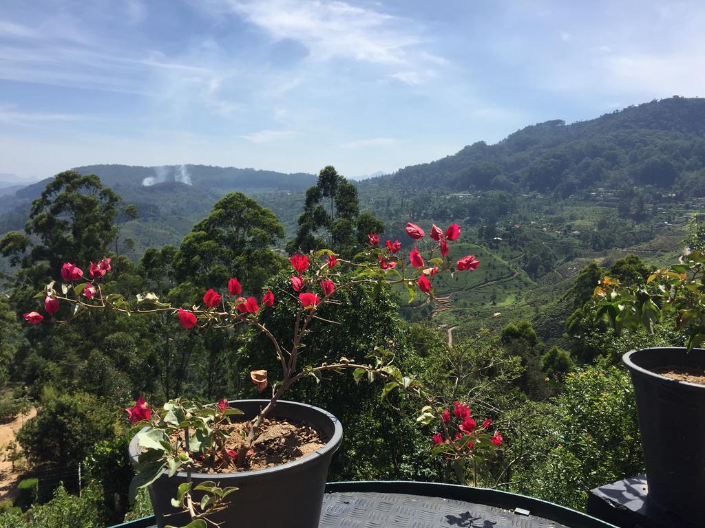 保罗地区住宿加早餐旅馆 哈普特莱 外观 照片