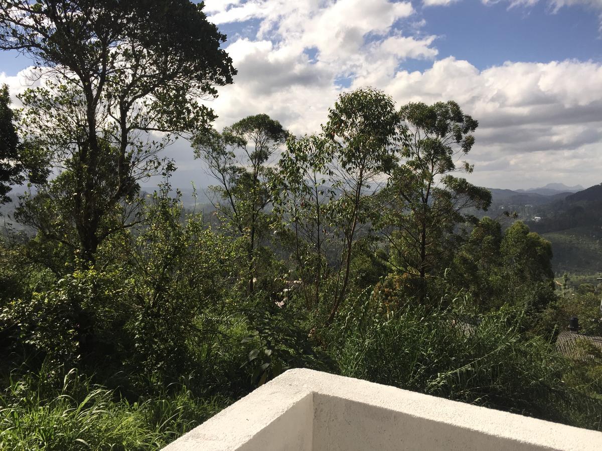 保罗地区住宿加早餐旅馆 哈普特莱 外观 照片